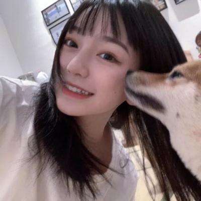 组装机械暗黑霸王龙